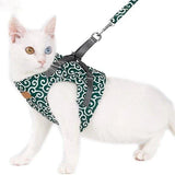 Cat Vest Harness and Leash Set to Outdoor Walking.