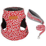 Cat Vest Harness and Leash Set to Outdoor Walking.