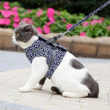 Cat Vest Harness and Leash Set to Outdoor Walking.