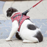 Cat Vest Harness and Leash Set to Outdoor Walking.