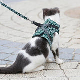 Cat Vest Harness and Leash Set to Outdoor Walking.